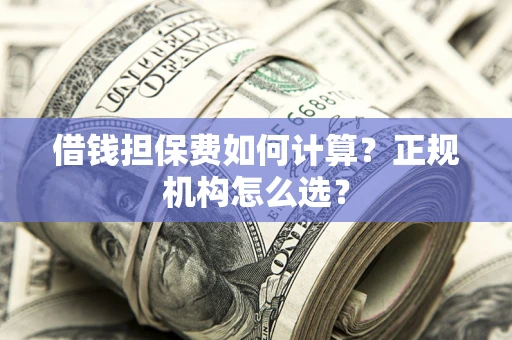 济南借钱担保费如何计算？正规机构怎么选？